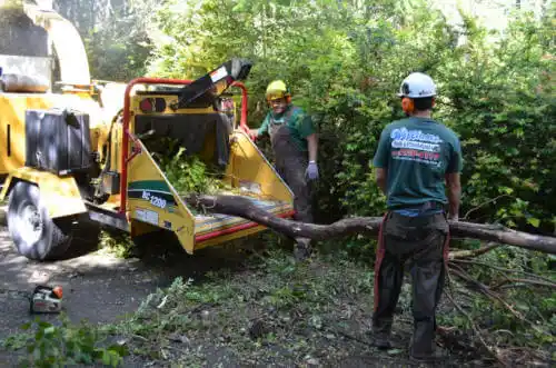 tree services Burbank